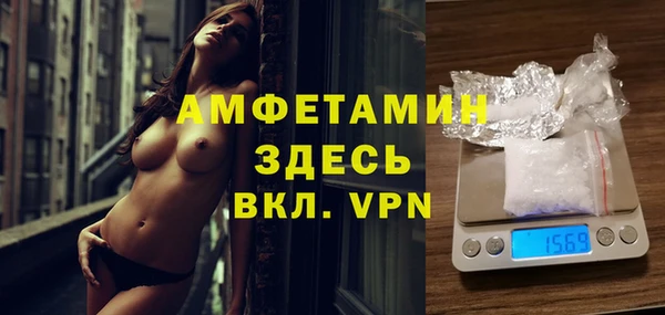 молекула духа Белая Холуница