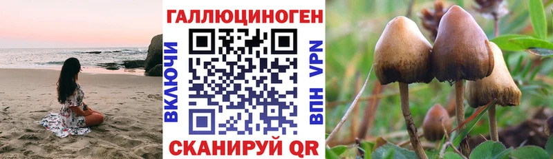 Галлюциногенные грибы GOLDEN TEACHER  наркота  Каневская 